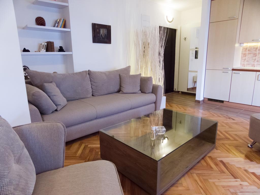 Center Apartment Nis