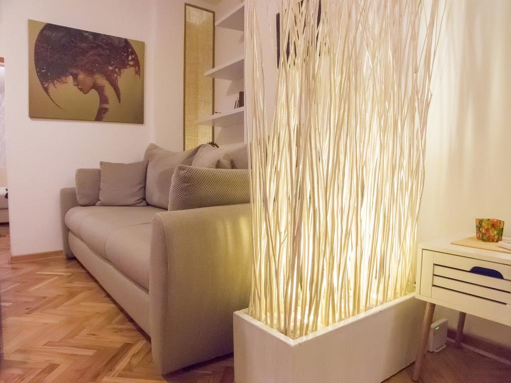 Center Apartment Nis